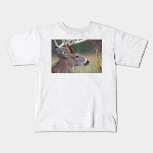 White-tailed buck, Quebec, Canada Kids T-Shirt